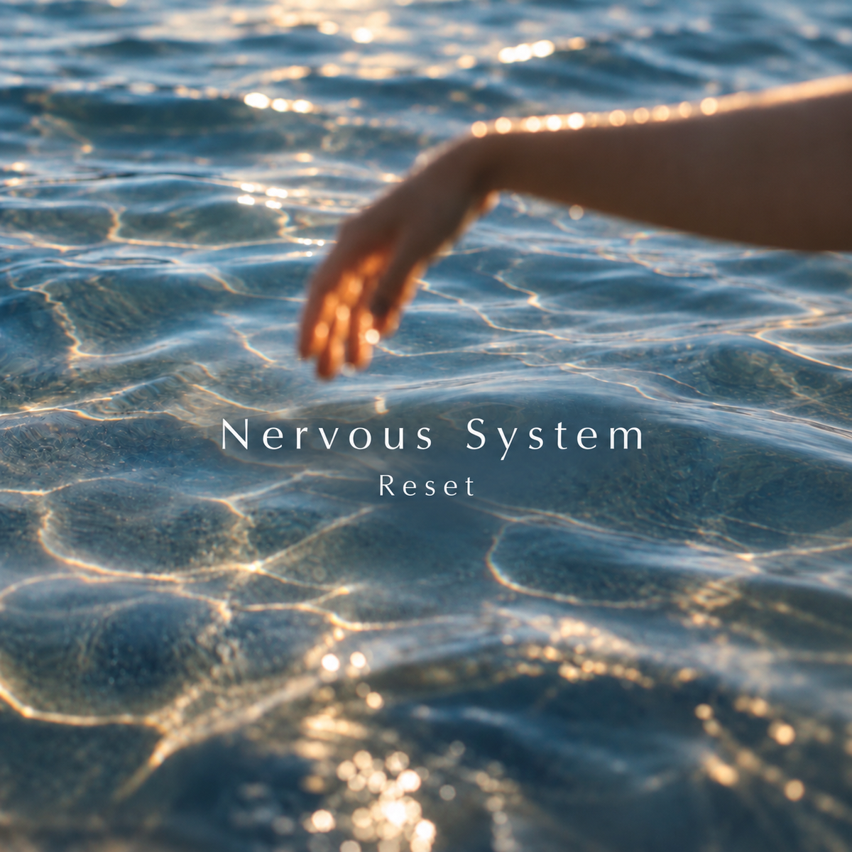 THE NERVOUS SYSTEM RESET